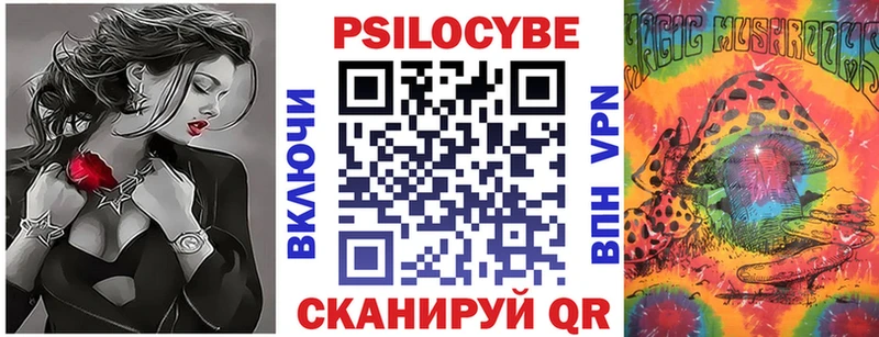 Псилоцибиновые грибы Psilocybe  mega   Камень-на-Оби 